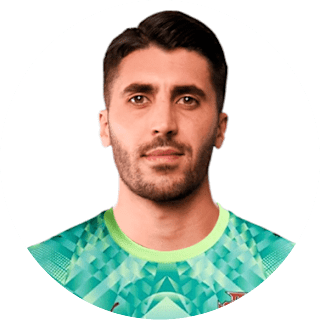 روي سيلفا