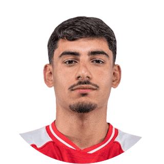 عامر حاييم جانا