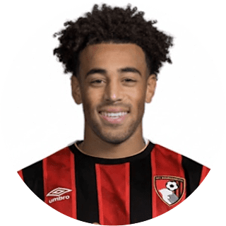 Tyler Adams