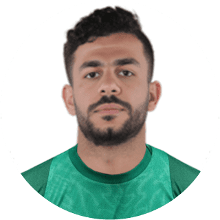 Amr Saadawy